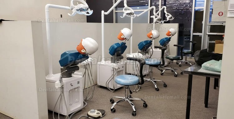 Jingle JG-A2 Dental Simulator Manikins Phantom Head Simulation Unit Typodont Compatible with Nissin Kilgore/Frasaco